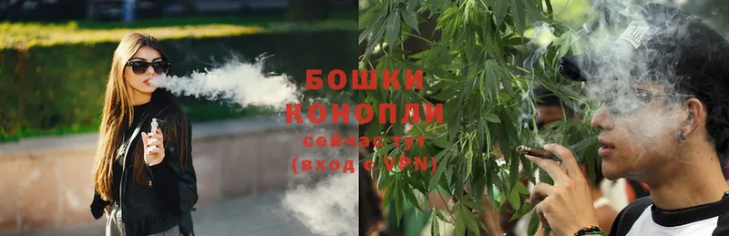 хочу   Великие Луки  кракен вход  Бошки марихуана OG Kush 